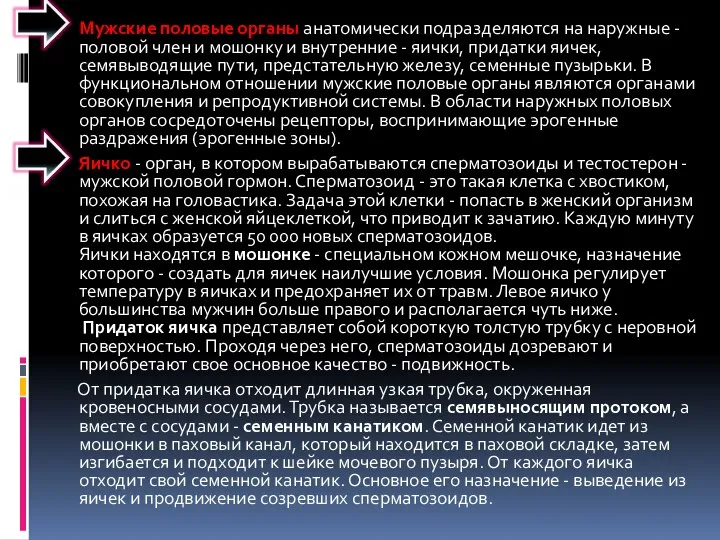 Мужские половые органы анатомически подразделяются на наружные - половой член и