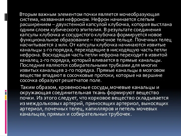 Вторым важным элементом почки является мочеобразующая система, названная нефроном. Нефрон начинается