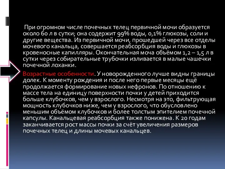 При огромном числе почечных телец первичной мочи образуется около 60 л