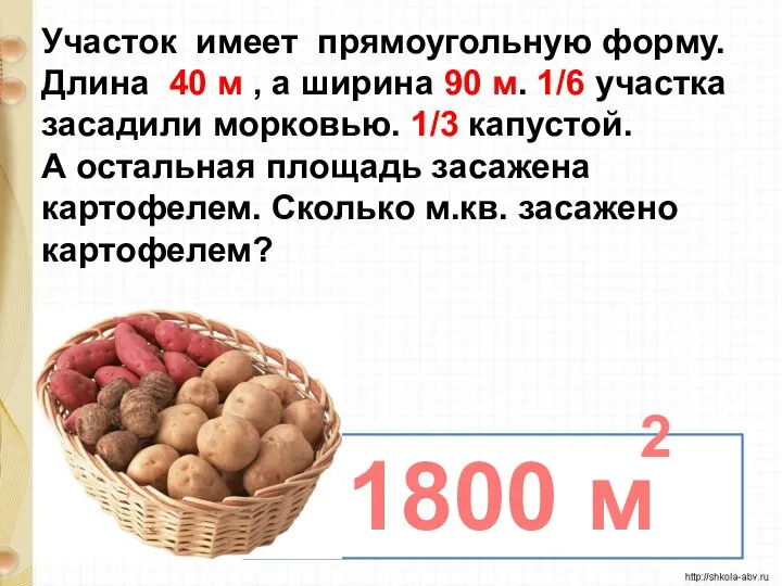 Участок имеет прямоугольную форму. Длина 40 м , а ширина 90