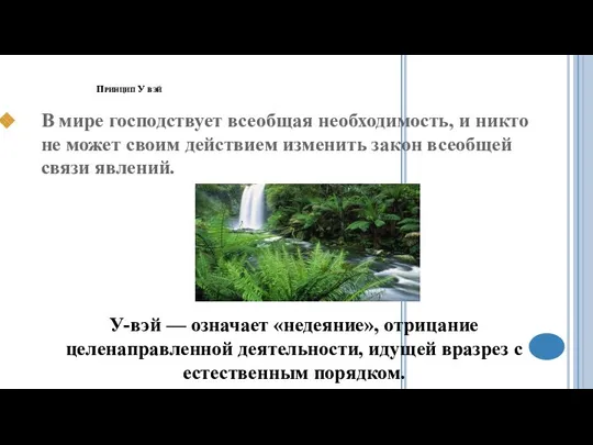 Принцип У вэй В мире господствует всеобщая необходимость, и никто не