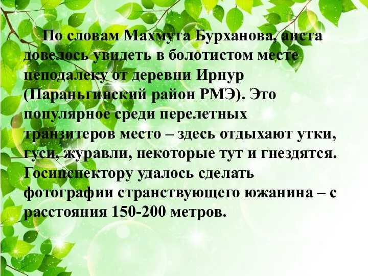 По словам Махмута Бурханова, аиста довелось увидеть в болотистом месте неподалеку