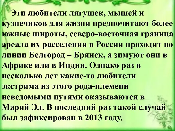 Эти любители лягушек, мышей и кузнечиков для жизни предпочитают более южные