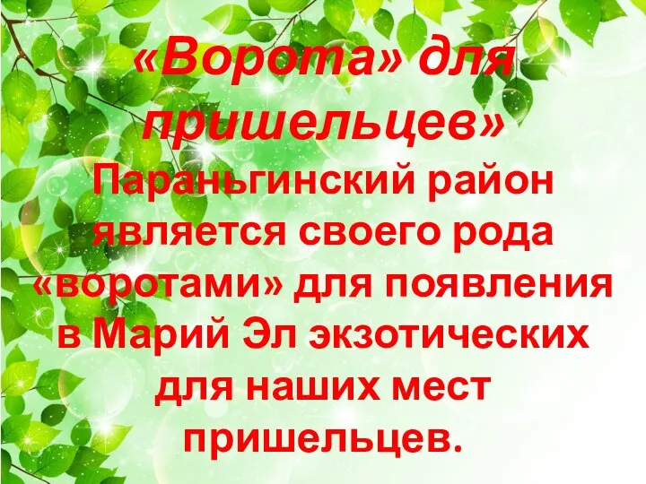 «Ворота» для пришельцев» Параньгинский район является своего рода «воротами» для появления