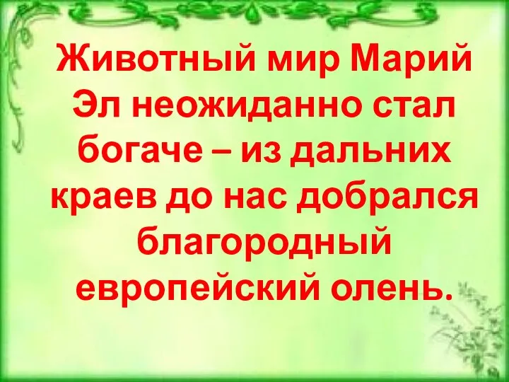 Животный мир Марий Эл неожиданно стал богаче – из дальних краев