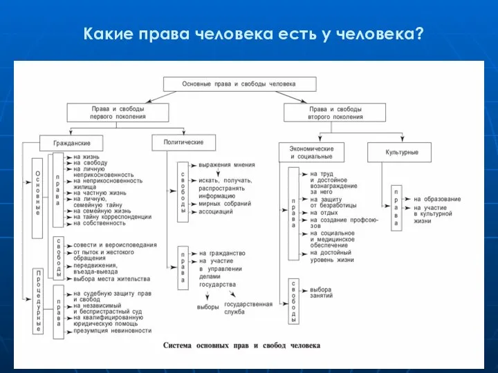 Какие права человека есть у человека?