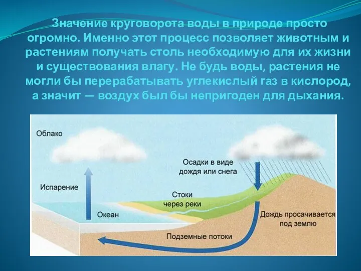 Значение круговорота воды в природе просто огромно. Именно этот процесс позволяет