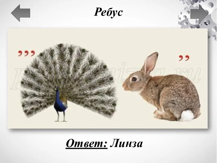 Ребус Ответ: Линза