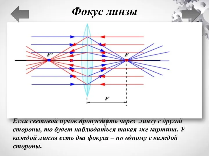 Фокус линзы Точка, в которой пересекаются после преломлений в собирающей линзе