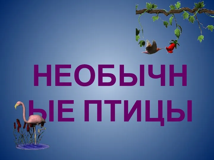 НЕОБЫЧНЫЕ ПТИЦЫ