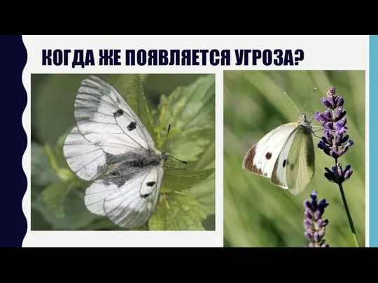 КОГДА ЖЕ ПОЯВЛЯЕТСЯ УГРОЗА?