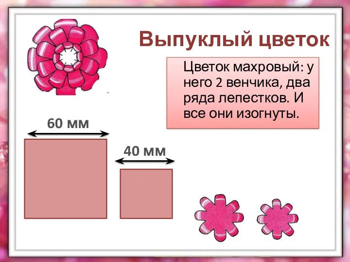 Выпуклый цветок Цветок махровый: у него 2 венчика, два ряда лепестков.