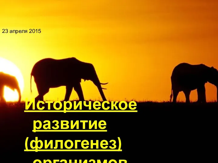 Историческое развитие (филогенез) организмов 23 апреля 2015