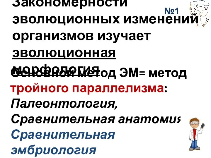 Закономерности эволюционных изменений организмов изучает эволюционная морфология Основной метод ЭМ= метод