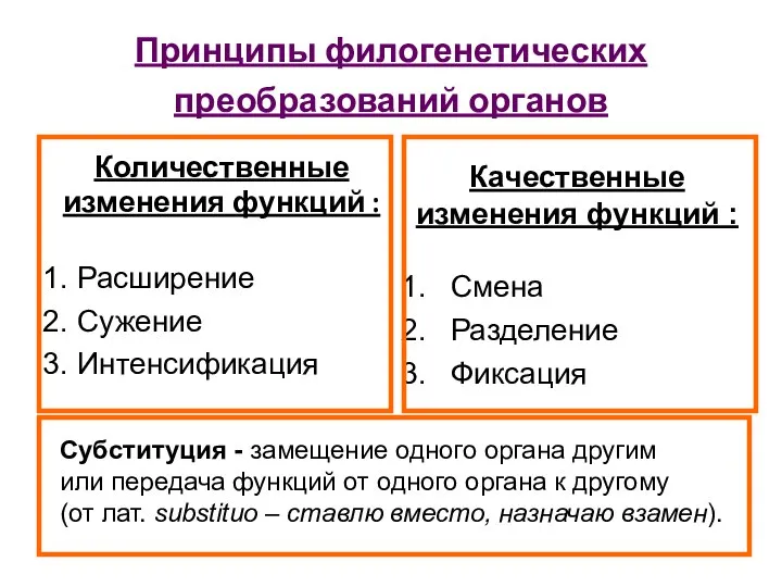 Принципы филогенетических преобразований органов Количественные изменения функций : Расширение Сужение Интенсификация