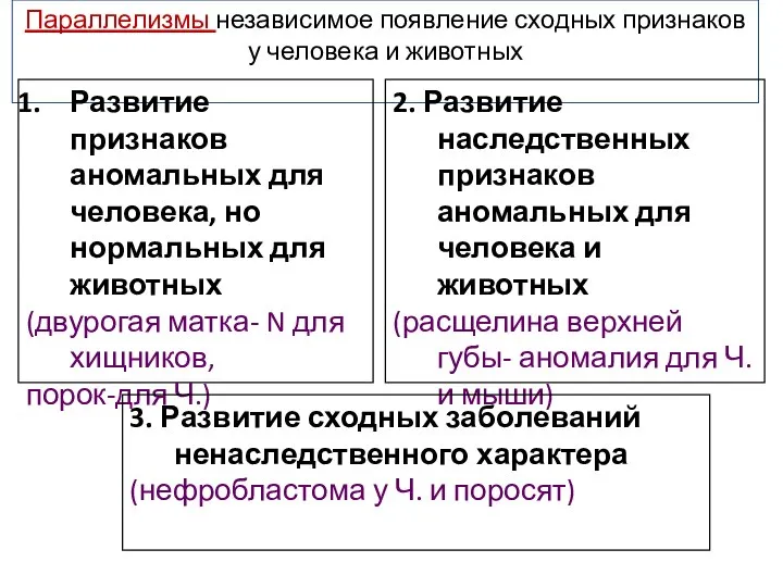 Параллелизмы независимое появление сходных признаков у человека и животных Развитие признаков