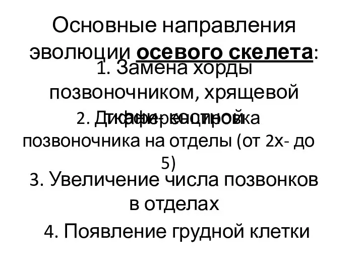 Основные направления эволюции осевого скелета: 1. Замена хорды позвоночником, хрящевой ткани-