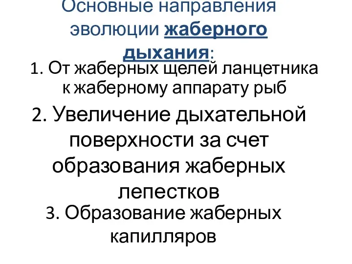 Основные направления эволюции жаберного дыхания: 1. От жаберных щелей ланцетника к