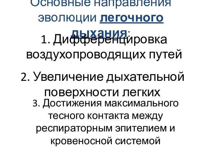 Основные направления эволюции легочного дыхания: 1. Дифференцировка воздухопроводящих путей 2. Увеличение