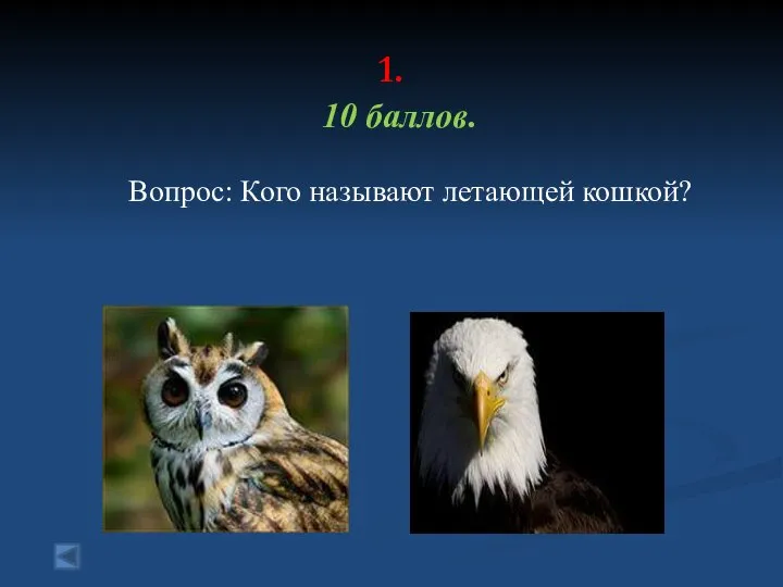 1. 10 баллов. Вопрос: Кого называют летающей кошкой?