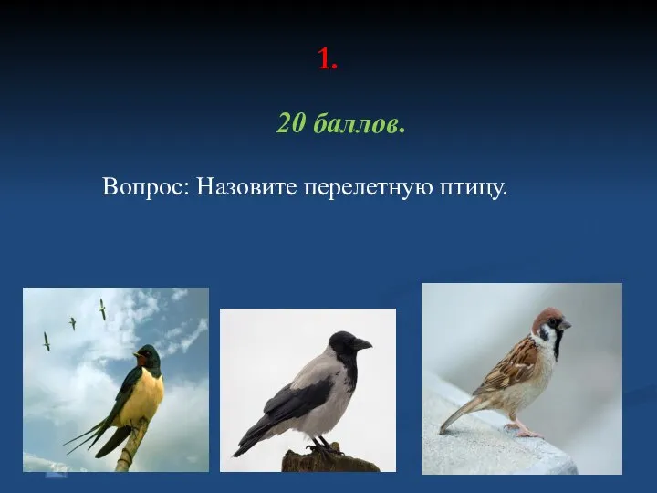 1. 20 баллов. Вопрос: Назовите перелетную птицу.