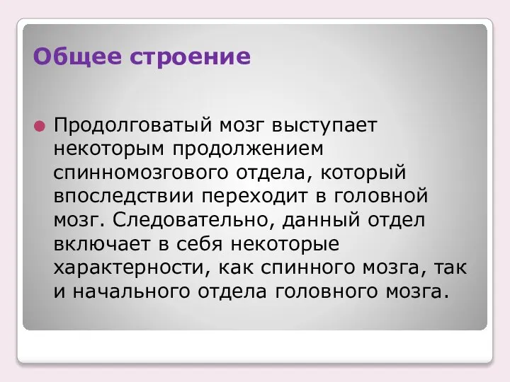 Общее строение Продолговатый мозг выступает некоторым продолжением спинномозгового отдела, который впоследствии