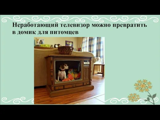 Неработающий телевизор можно превратить в домик для питомцев