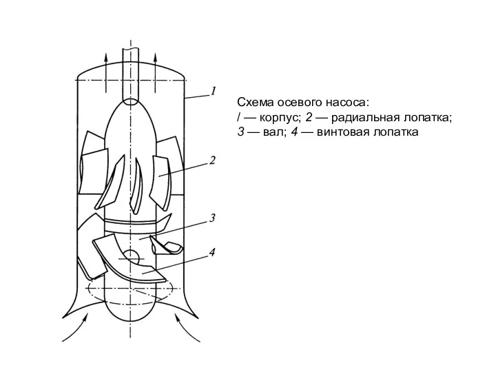 Схема осевого насоса: / — корпус; 2 — радиальная лопатка; 3