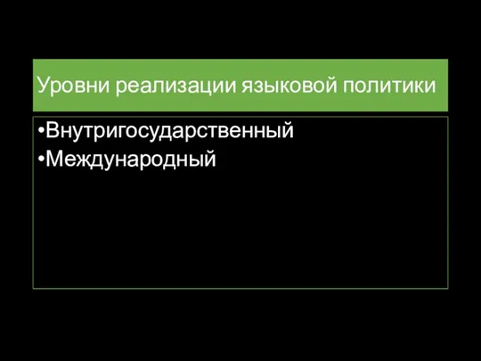 Уровни реализации языковой политики Внутригосударственный Международный