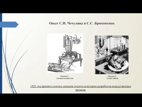 Опыт С.И. Чечулина и С.С. Брюхоненко. Рисунок 3. Схематический план Рисунок