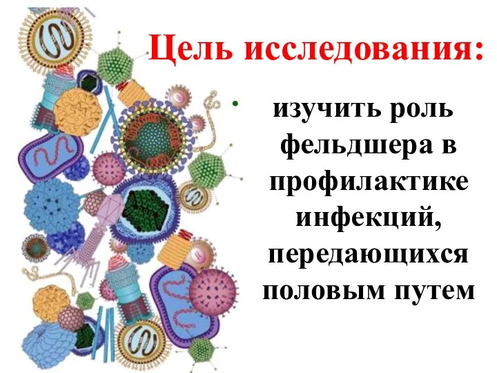 Цель исследования: изучить роль фельдшера в профилактике инфекций, передающихся половым путем