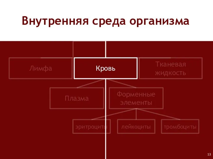 Лимфа Кровь Тканевая жидкость Плазма Форменные элементы лейкоциты тромбоциты эритроциты Внутренняя среда организма