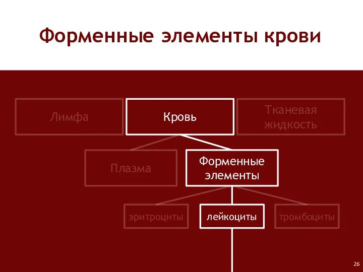 Форменные элементы крови Лимфа Кровь Тканевая жидкость Плазма Форменные элементы лейкоциты тромбоциты эритроциты