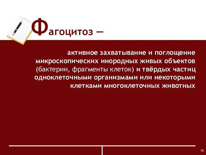 Фагоцитоз ― активное захватывание и поглощение микроскопических инородных живых объектов (бактерии,