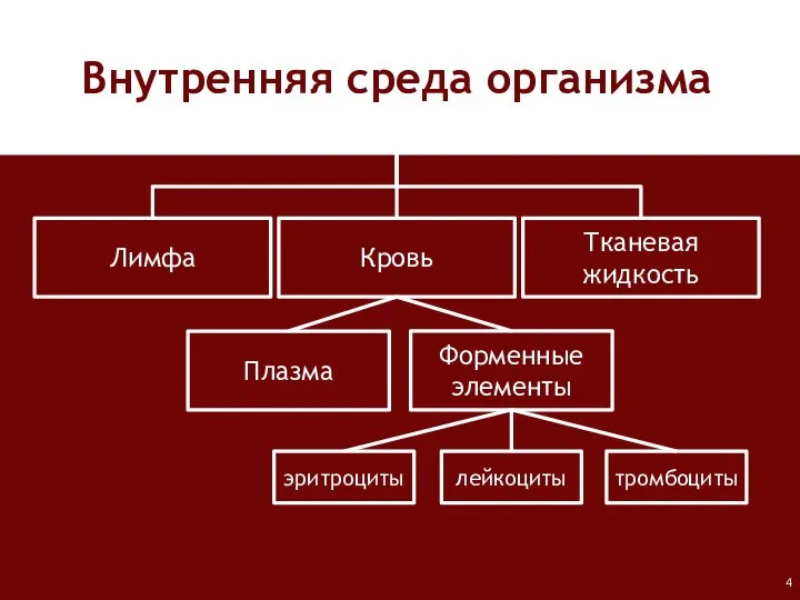 Внутренняя среда организма Лимфа Кровь Тканевая жидкость Плазма Форменные элементы лейкоциты тромбоциты эритроциты