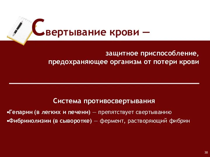 защитное приспособление, предохраняющее организм от потери крови Свертывание крови ― Система