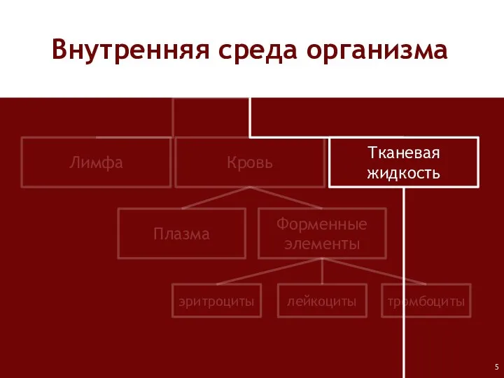 Лимфа Кровь Тканевая жидкость Плазма Форменные элементы лейкоциты тромбоциты эритроциты Внутренняя среда организма