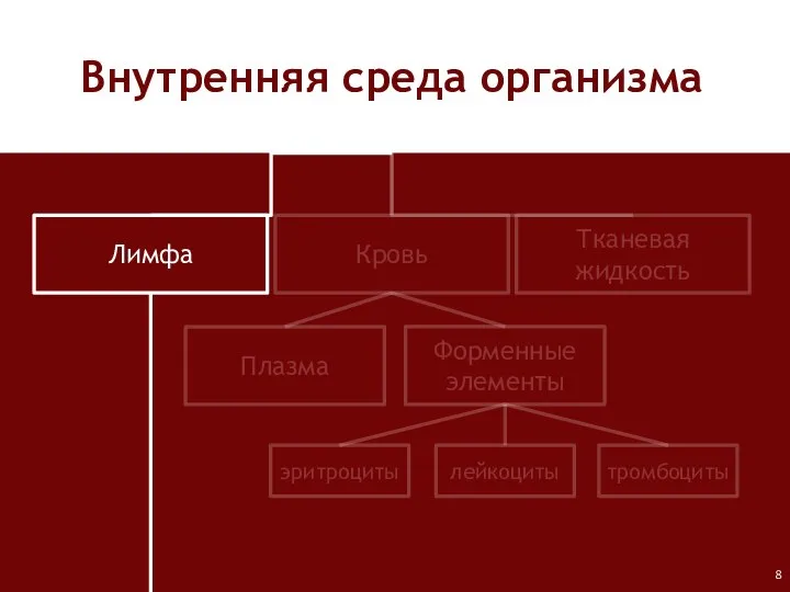 Лимфа Кровь Тканевая жидкость Плазма Форменные элементы лейкоциты тромбоциты эритроциты Внутренняя среда организма