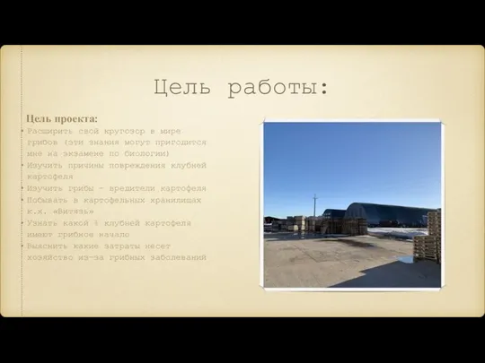 Цель работы: Цель проекта: Расширить свой кругозор в мире грибов (эти