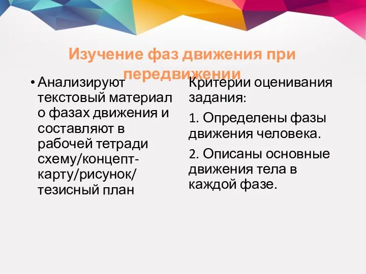 Анализируют текстовый материал о фазах движения и составляют в рабочей тетради