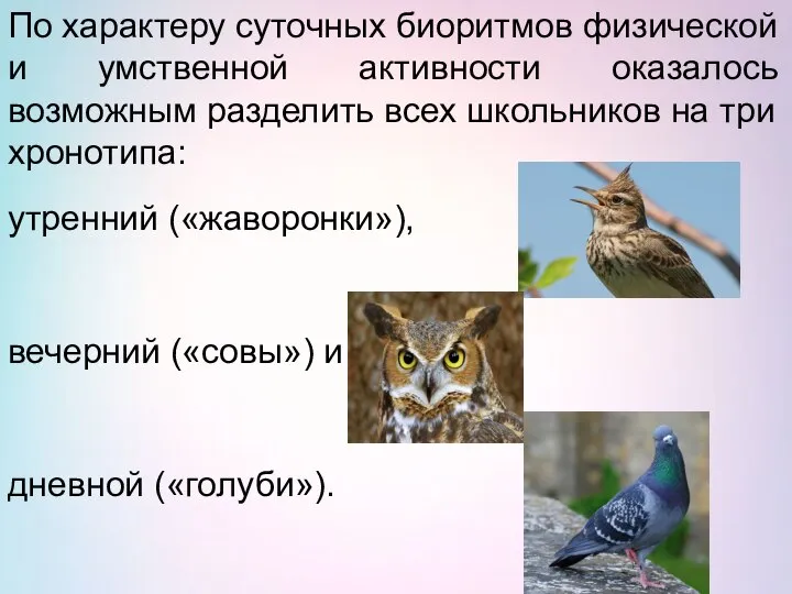 По характеру суточных биоритмов физической и умственной активности оказалось возможным разделить