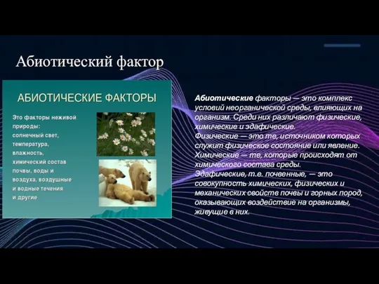 Абиотические факторы — это комплекс условий неорганической среды, влияющих на организм.