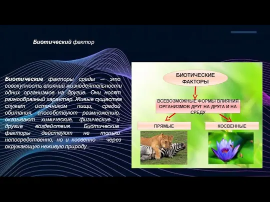 Биотические факторы среды — это совокупность влияний жизнедеятельности одних организмов на