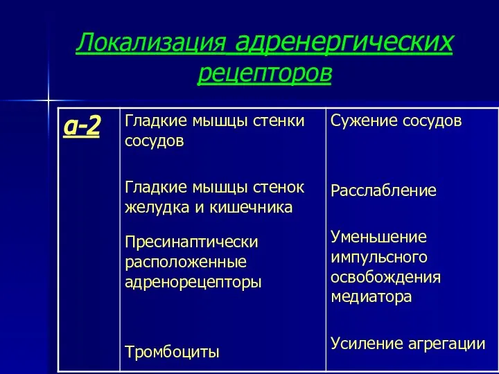 Локализация адренергических рецепторов