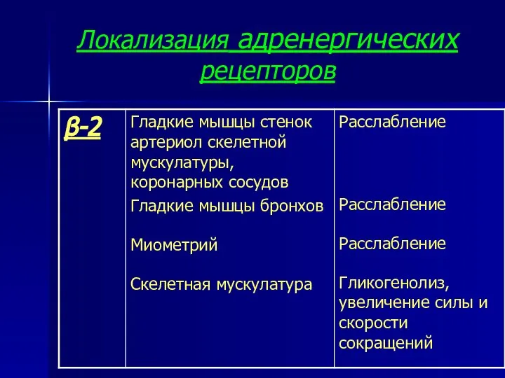 Локализация адренергических рецепторов