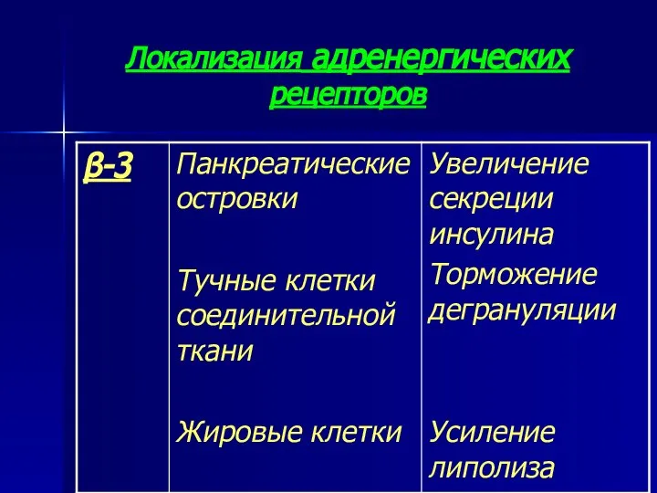 Локализация адренергических рецепторов