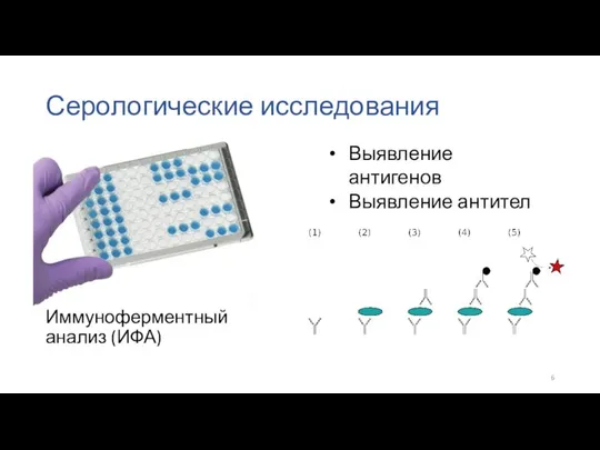 Серологические исследования Иммуноферментный анализ (ИФА) Выявление антигенов Выявление антител