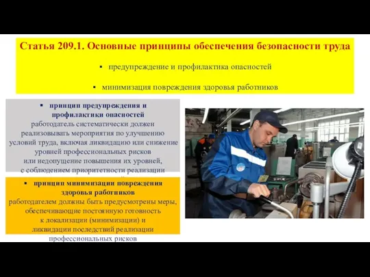 Статья 209.1. Основные принципы обеспечения безопасности труда предупреждение и профилактика опасностей