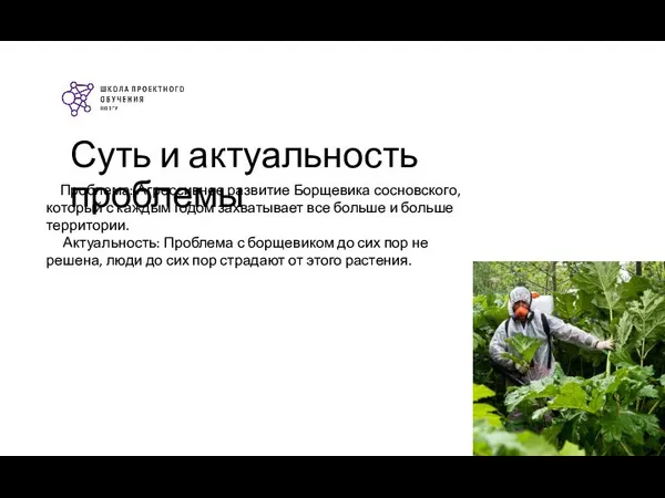 Суть и актуальность проблемы Проблема: Агрессивное развитие Борщевика сосновского, который с