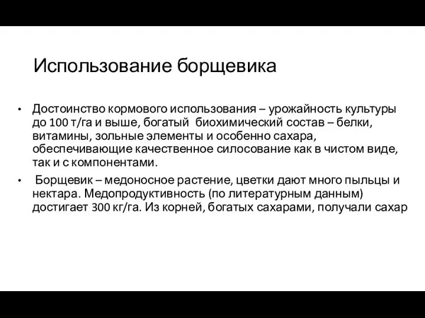 Использование борщевика Достоинство кормового использования – урожайность культуры до 100 т/га